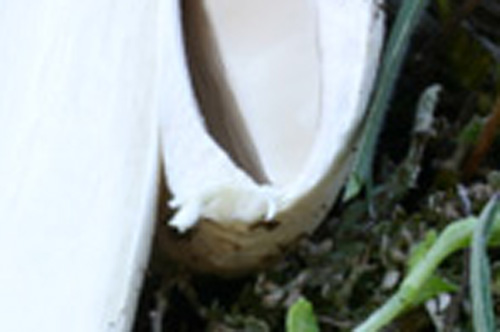 Aiutatemi ad uscire chiamandomi per nome